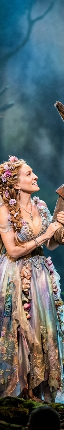 A Midsummer Nights Dream