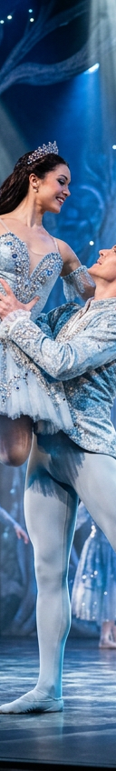 Ballet of Lights - Sleeping Beauty in a Sparkling Show