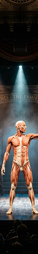 Bodies - The Exhibition