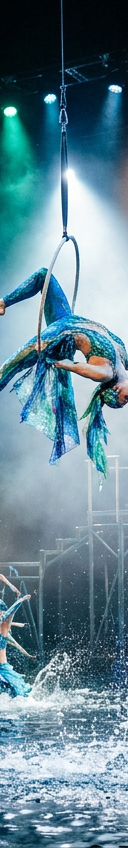 Cirque du Soleil O