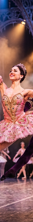 George Balanchines The Nutcracker