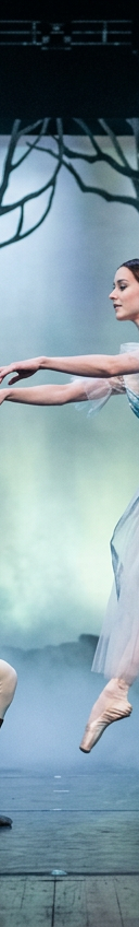 Giselle
