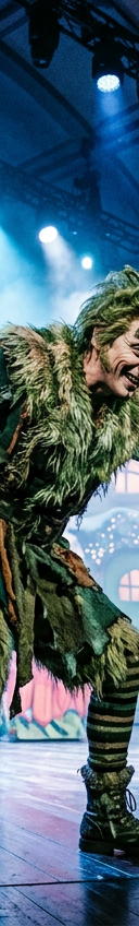 How The Grinch Stole Christmas - The Musical