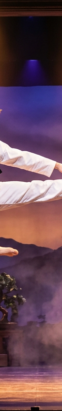 Karate Kid - The Musical