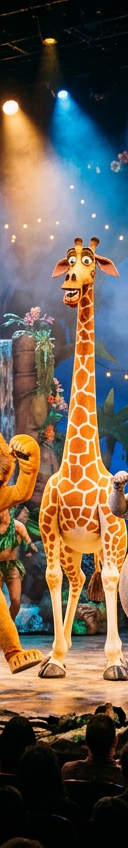 Madagascar - A Musical Adventure
