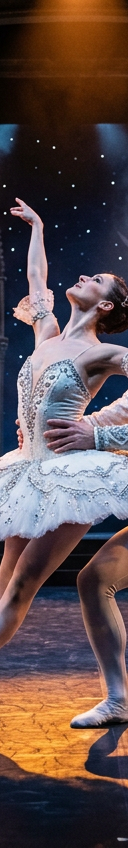 Miami City Ballet