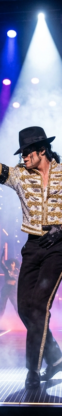 Michael Jackson Legacy