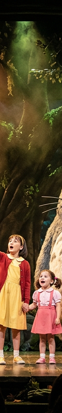 My Neighbour Totoro Play
