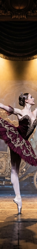 Orlando Ballet