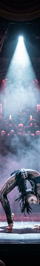Paranormal Cirque Voodoo