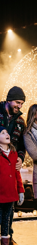 Parkview Field Holiday Lights