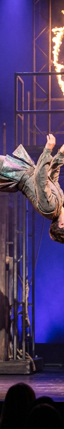 Pippin