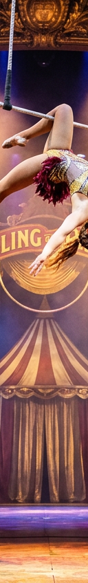Ringling Bros B&B Circus