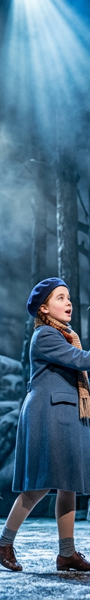 The Lion, the Witch, and the Wardrobe