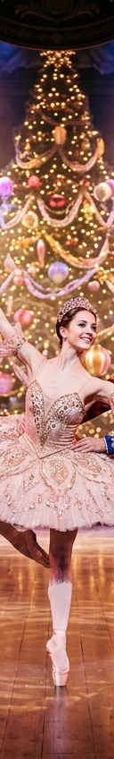 The Nutcracker - Symphony of Lights