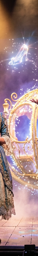The Other Cinderella