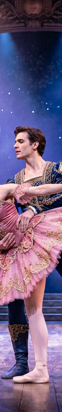 The Sleeping Beauty