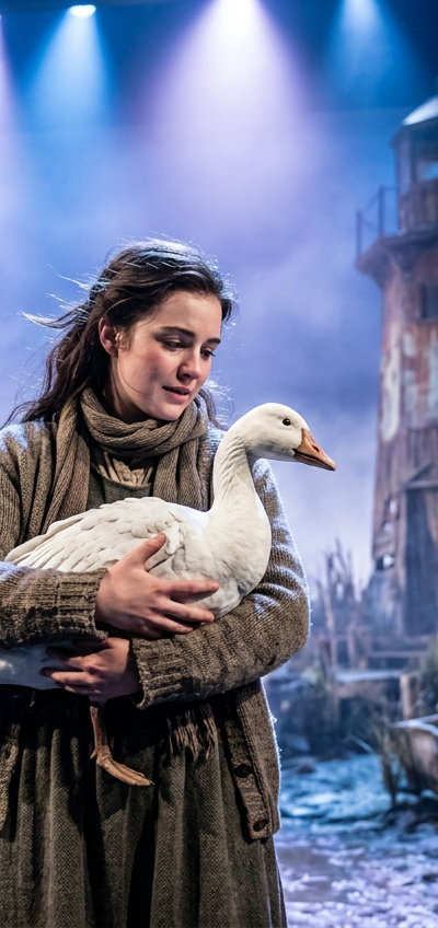 The Snow Goose