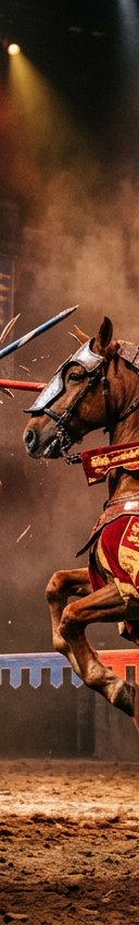 Tournament of Kings