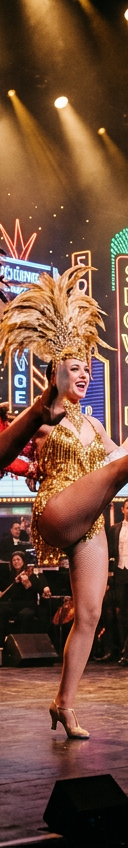 Vegas! The Show