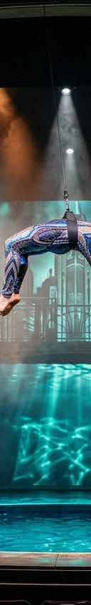Water Circus Metropolis