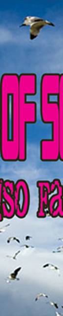 80s New Wave Tribute