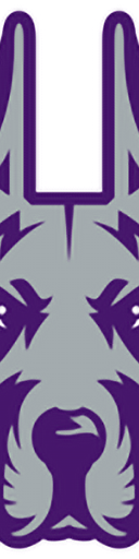Albany Great Danes Football