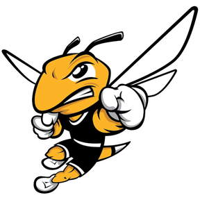 American International Yellow Jackets Football logo