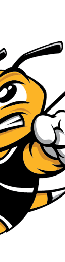 American International Yellow Jackets Football
