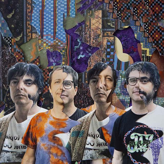 Animal Collective: Rock artist