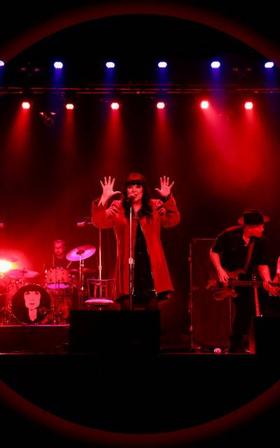 Ann Wilson - The Voice of Heart and Tripsitter
