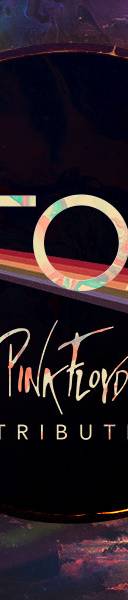 Another Pink in the Floyd - Pink Floyd Tribute Band