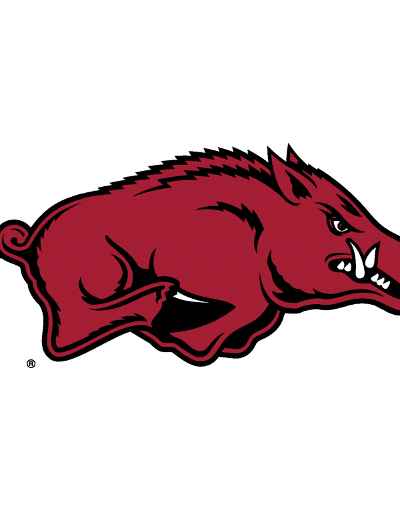 Georgia Bulldogs at Arkansas Razorbacks Football