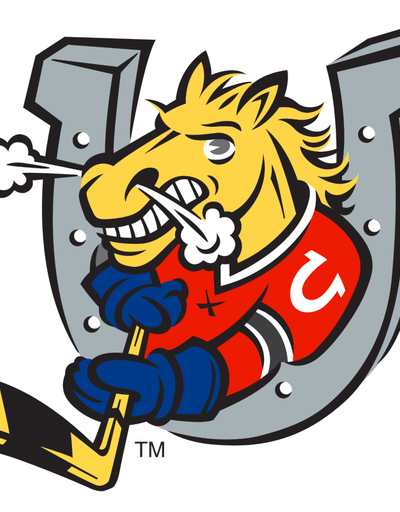 Oshawa Generals at Barrie Colts