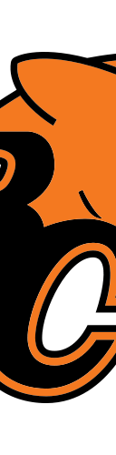 BC Lions