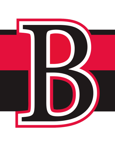 Toronto Marlies at Belleville Senators