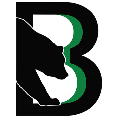 Binghamton Black Bears logo