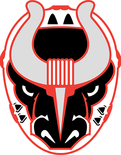 Pensacola Ice Flyers at Birmingham Bulls