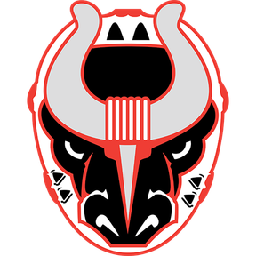 Birmingham Bulls logo