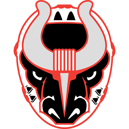 Birmingham Bulls logo