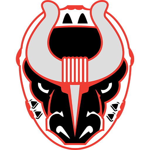 Birmingham Bulls: American SPHL team logo