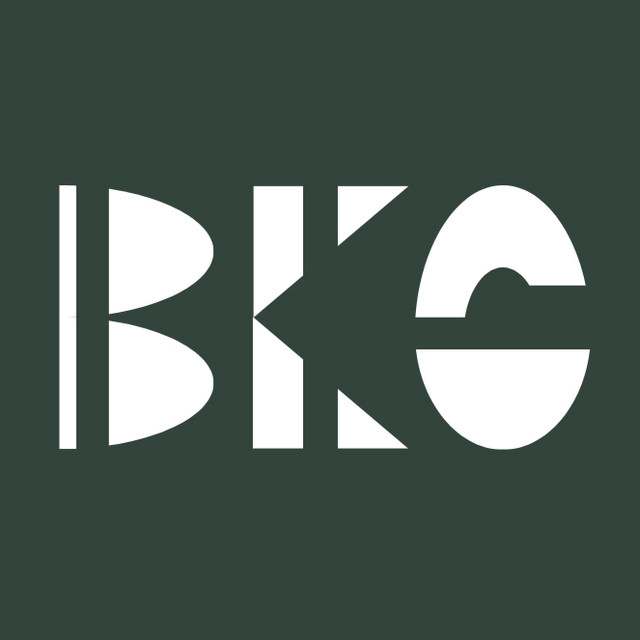 BKG: Rock artist