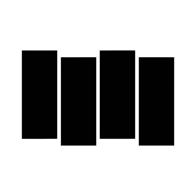 Black Flag: Rock artist