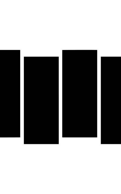 Black Flag