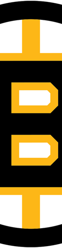 Boston Bruins