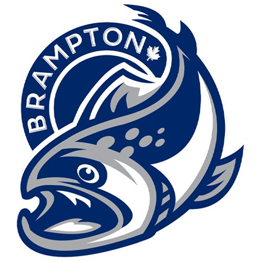 Brampton Steelheads: Canadian OHL team logo