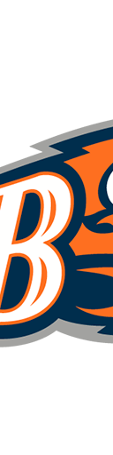 Bucknell Bison Football