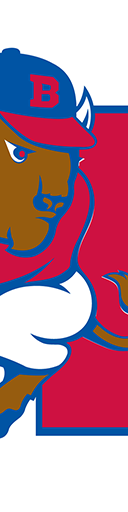 Buffalo Bisons