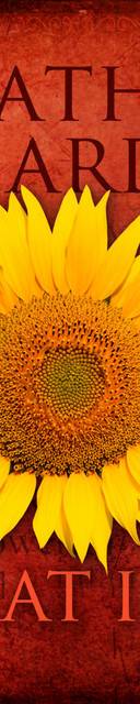 Cathy Richardson