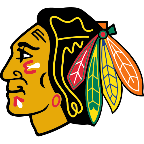 Chicago Blackhawks: NHL team logo